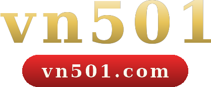 vn501 logo
